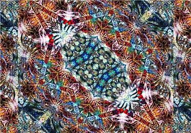 《星空》社区补丁Mod修复几十个Bug 感谢民间大神